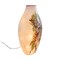 Stony Creek 7.5 Inch Holiday Bells Pre-Lit Glass Vase Christmas Lighted Glass Accent , Electric Plug In